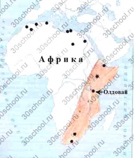 Гдз по Истории 5 Класс Рабочая Тетрадь 1 Часть 5 Класс